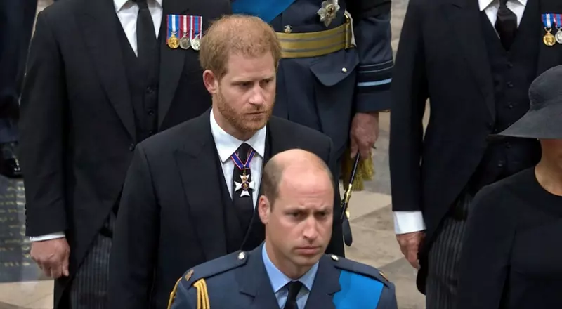 Prințul Harry, noi acuzații incredibile la adresa prințului William