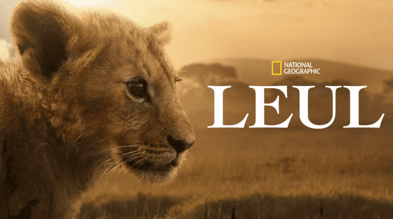 leul-serie-documentara-national-geographic-disney-plus-premiera (1)
