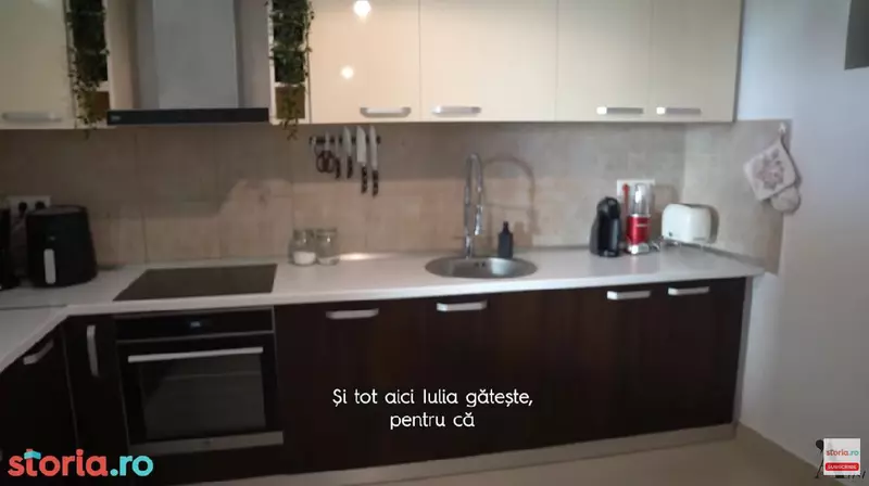casa-Liviu-Teodorescu-2
