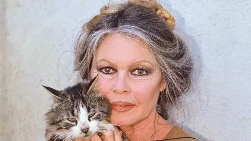 "Brigitte Bardot, între viață și moarte". Internată la Terapie Intensivă, în stare gravă, actrița a părăsit spitalul, împotriva recomandărilor medicilor