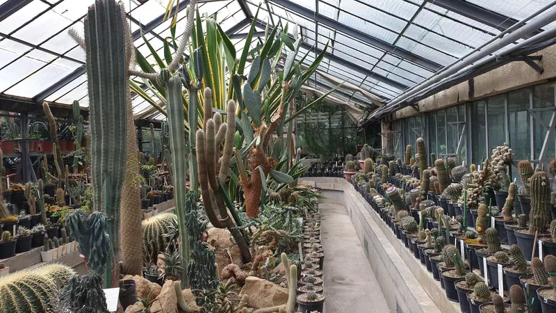 Incursiune de poveste prin „Raiul” sălăjean, la „ROventura”, Kanal D