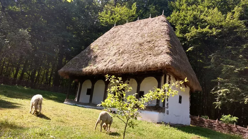 casa veche taraneasca la muzeul ASTRA