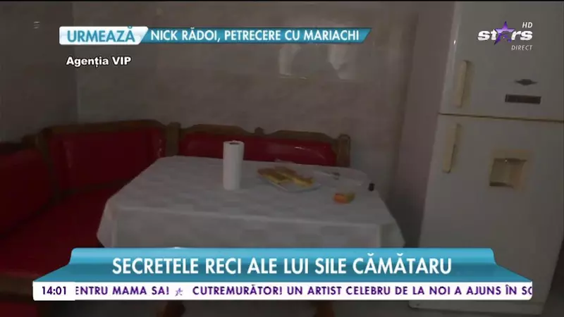 casa lui Sile Cămătaru (3)