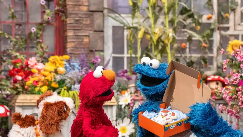 Sesame Street (2)