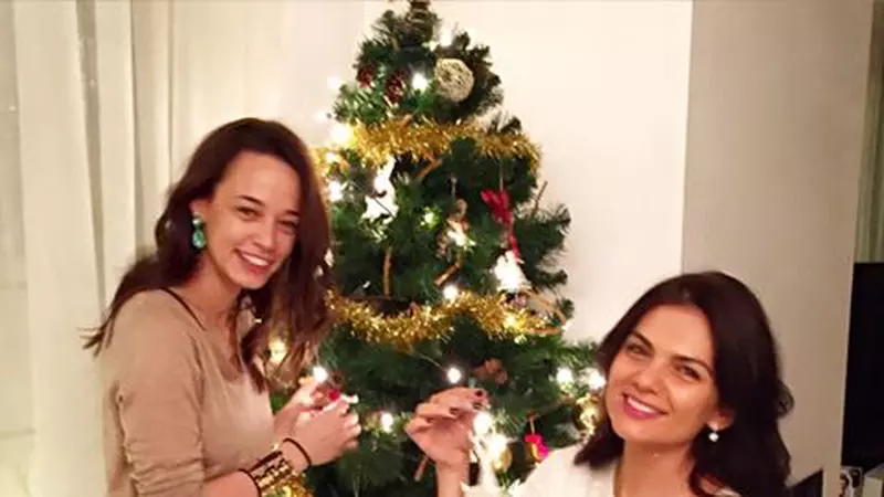 Acasă, la vedete, de Sărbători. Iată cum arată brazii lor de Crăciun!
