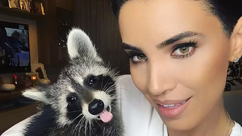 Adelina Pestrițu împreună cu ratonul ei au vizitat redacția Viva! Cindy și-a făcut de cap și a cucerit pe toată lumea. Vezi imaginile!