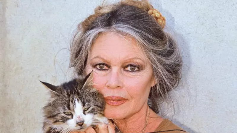 Brigitte Bardot - cel mai greu rol: propria viață! Prima oară s-a căsătorit la 17 ani, apoi s-a iubit și cu bărbați și cu femei!