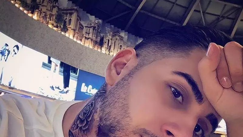 Fulgy, fiul Clejanilor, și-a pierdut pisica. Recompensa oferită este imensă!