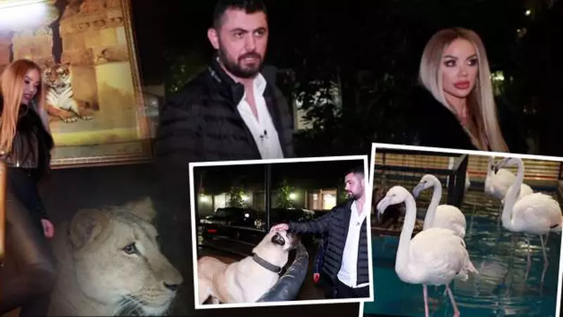 Milionarul Biancăi Drăgușanu are în casă o grădină zoologică: leu, rechin, șerpi și păsări flamingo. Cum arată locuința lui Cengiz Şıklaroğlu