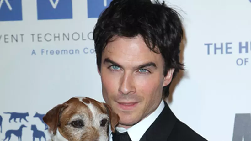Vedete iubitoare de animale la gala "Genesis Awards": Ian Somerhalder, Sophia Bush, Kesha