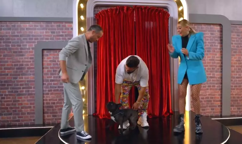 incident-neprevazut-la-stand-up-revolution-celebrity.-cainele-lui-dorian-popa-l-a-muscat-pe-serban-copot.-imi-sun-avocatul-5