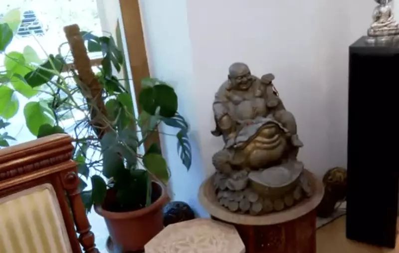 imagini casă Monica Tatoiu (7)