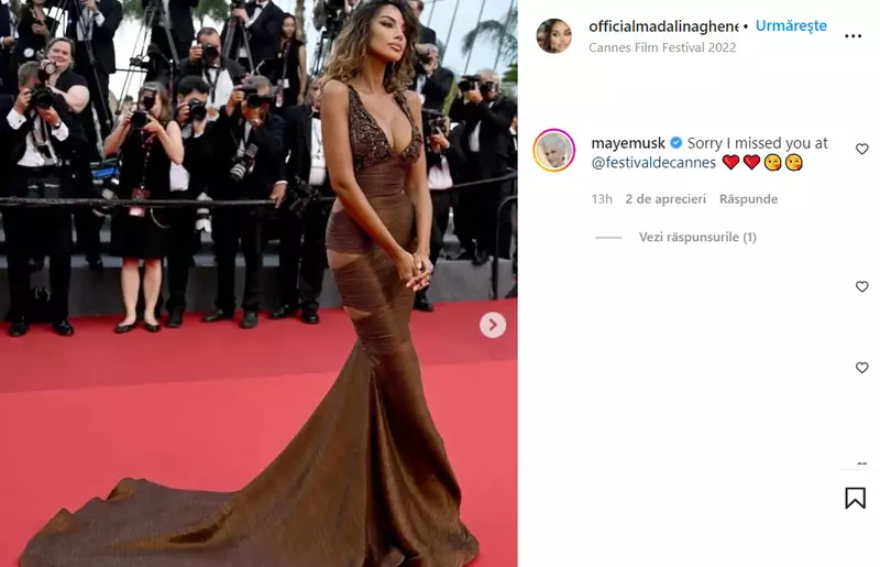 madalina-ghenea-mesaj-mama-elon-musk