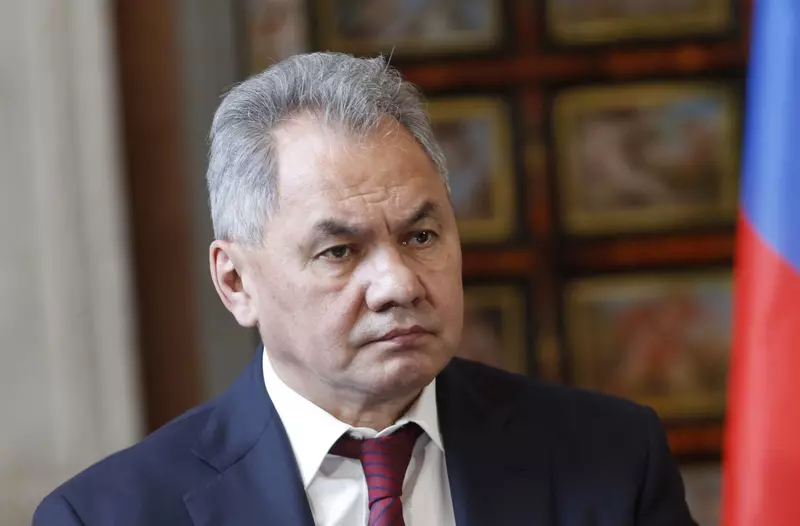 Fiica ministrului rus al Apărării Sergei Shoigu Ksenia Shoigu