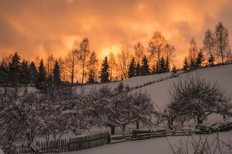 Wild CarpathiaDSC02792