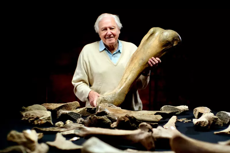 Attenborough_and_the_Mammoth_Graveyard_