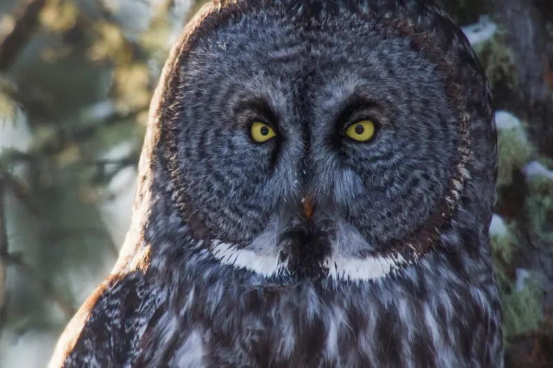 parcuri-nationale-din-america-1