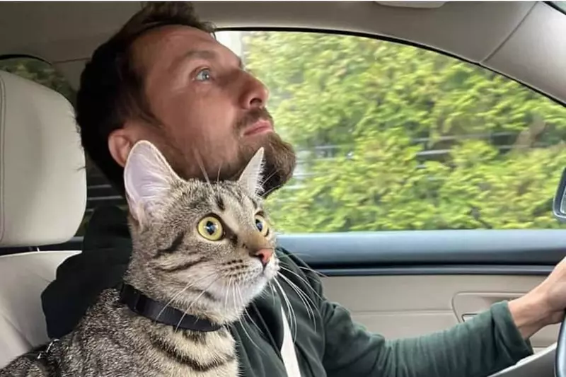 Dani Oțil își vinde garsoniera