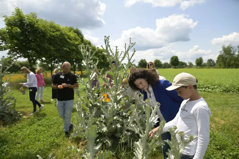 weleda-gradina-germania (1)
