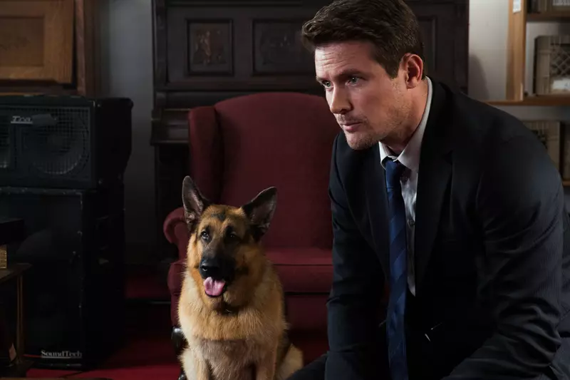 DIVA - Huston & Rex S2