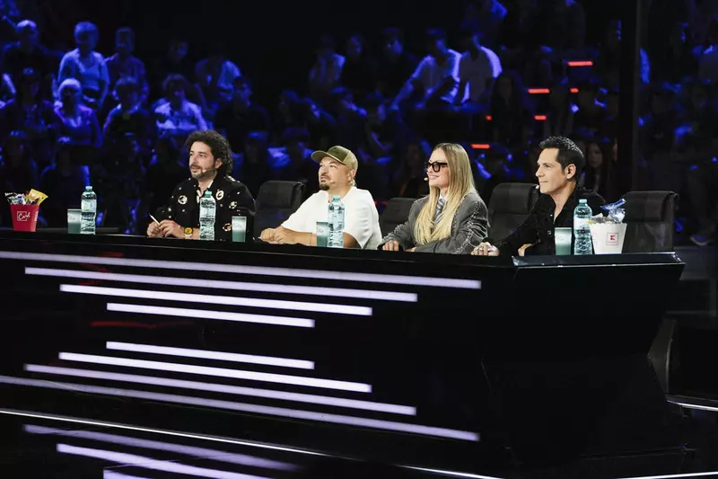 Juriul X Factor (1)