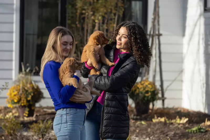 Cățeluși peste tot – Puppies Everywhere (3)