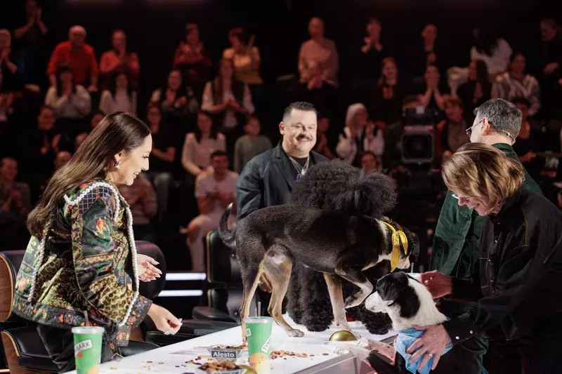 Românii au talent (2)