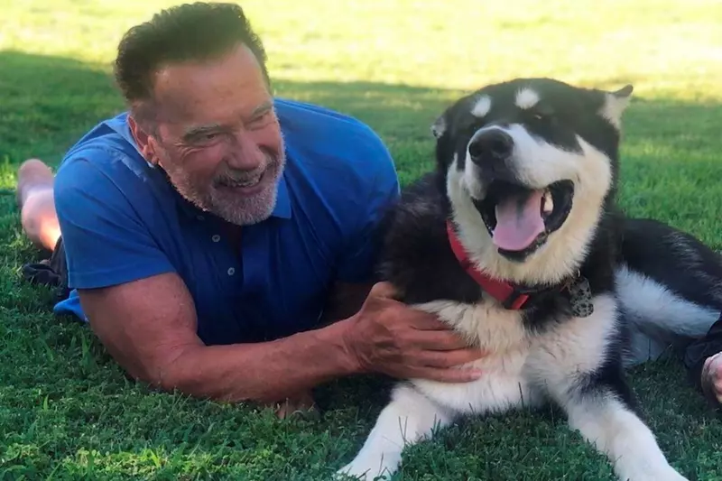 Arnold Schwarzenegger