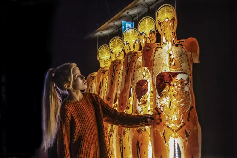 BODY WORLDS_Impression 3_Foto_David_Trood