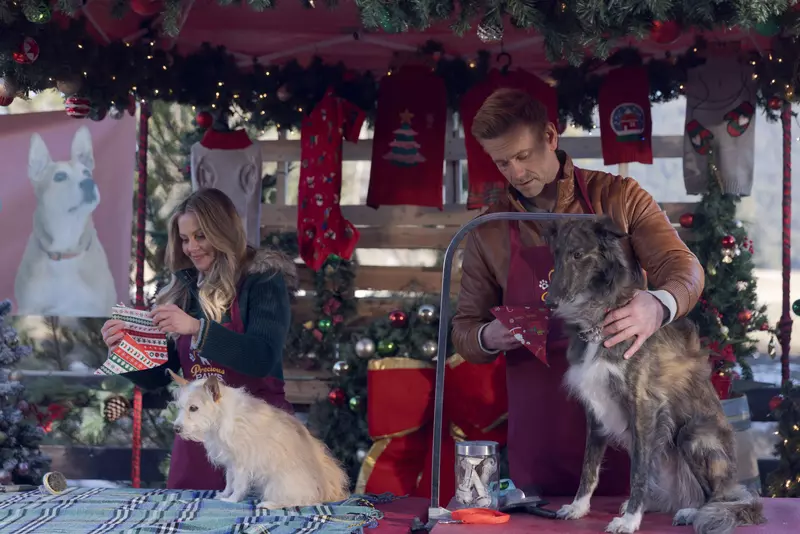 Călătorie de Crăciun  (10)