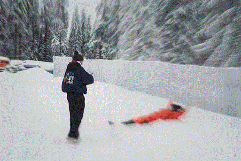 Smiley și Gina Pistol