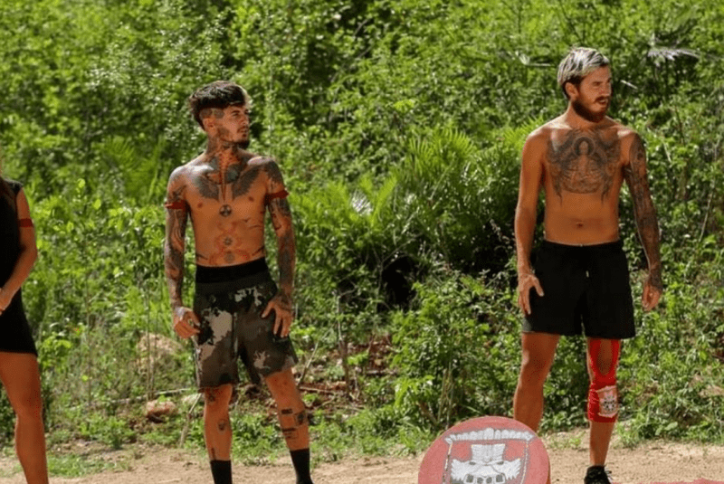 zanni-ocupatie-inainte-de-alex-velea-1