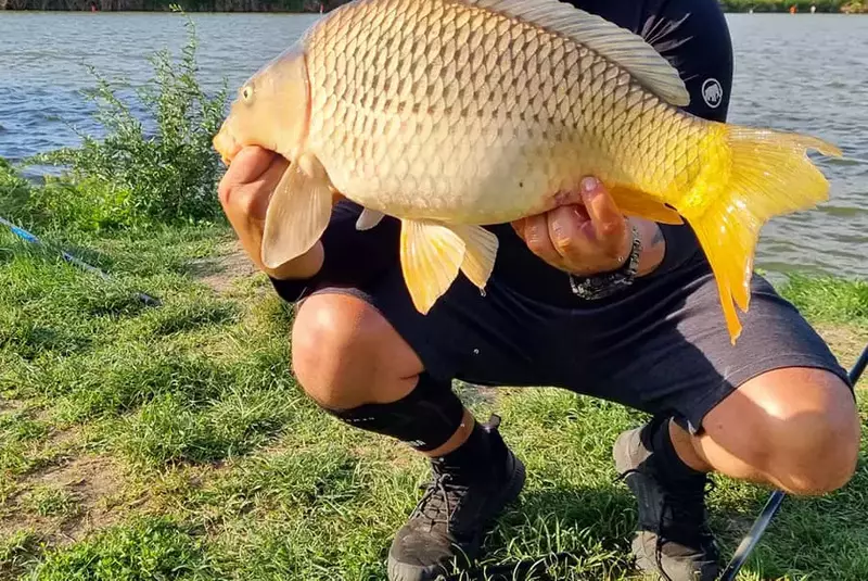 bobonete-casatorie-8-1024×536-1