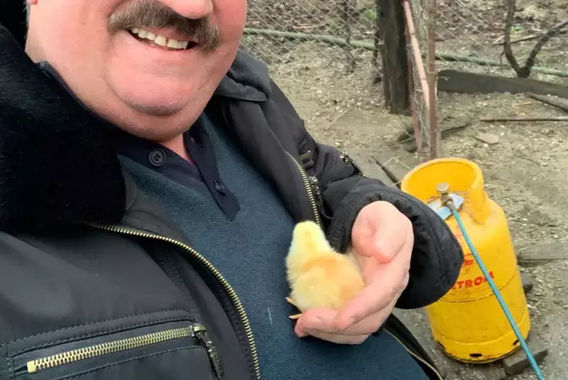 Petrica-Mitu-Stoian-1