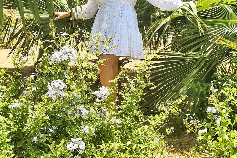 81581551_10158023305464306_267566657130463232_n-1-1024×1024-1