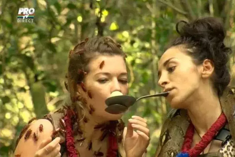 catalin-morosanu-regele-junglei-1