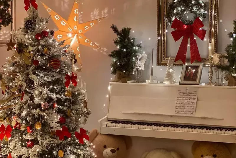 tudor-ionescu-casa-1