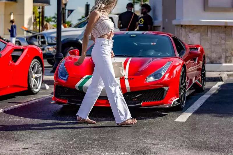 alina vidican 7