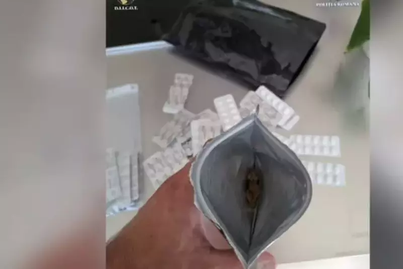 464569477_27718137324467163_5216039611409267481_n