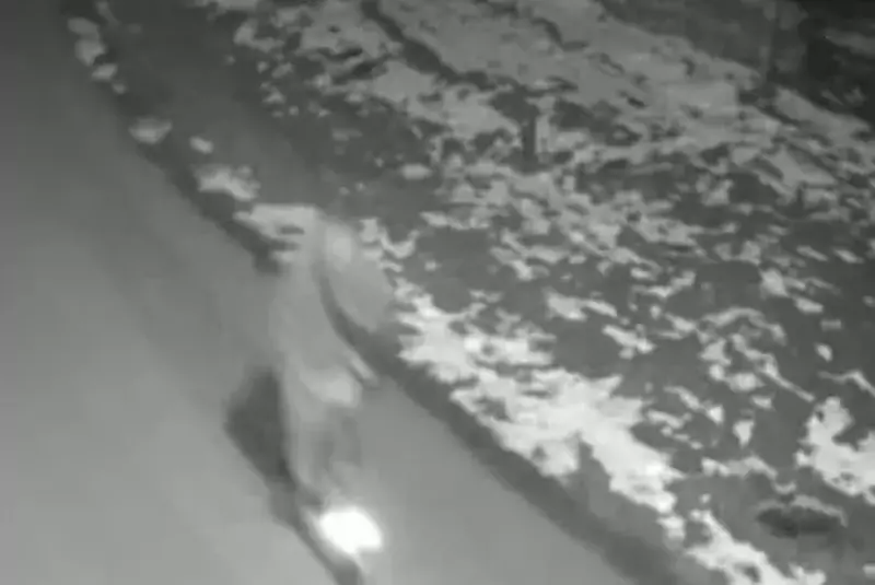 colaj-mario-alin-berinde