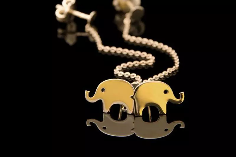 Andreea Raicu, Serendipity