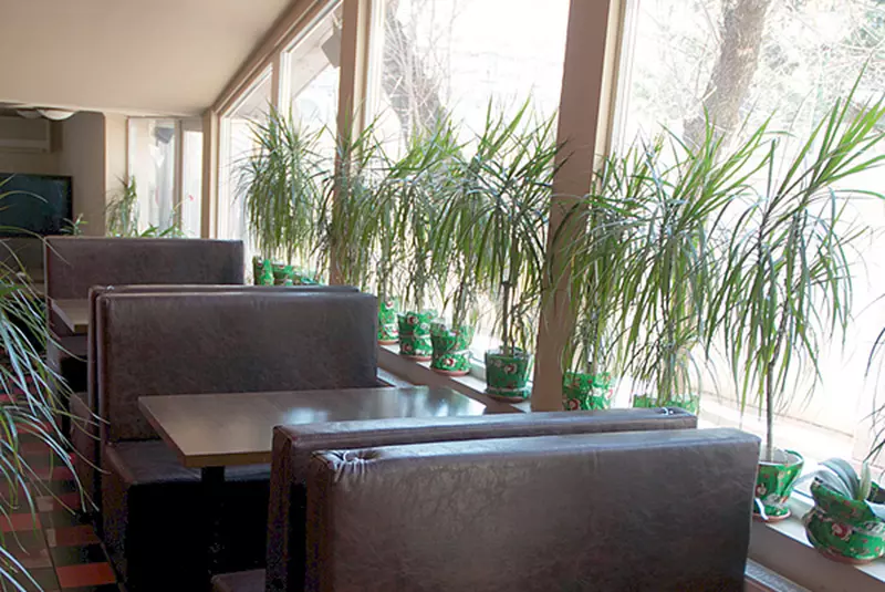 PLĂCINTĂ CU MERE ŞI ÎNGHEŢATĂ