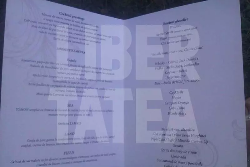 Laura Cosoi, nunta in decor de vis