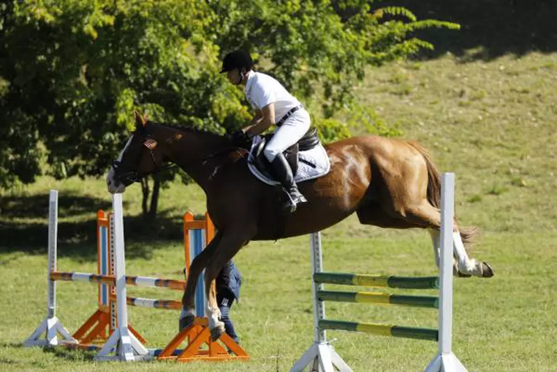 Karpatia Horse Show