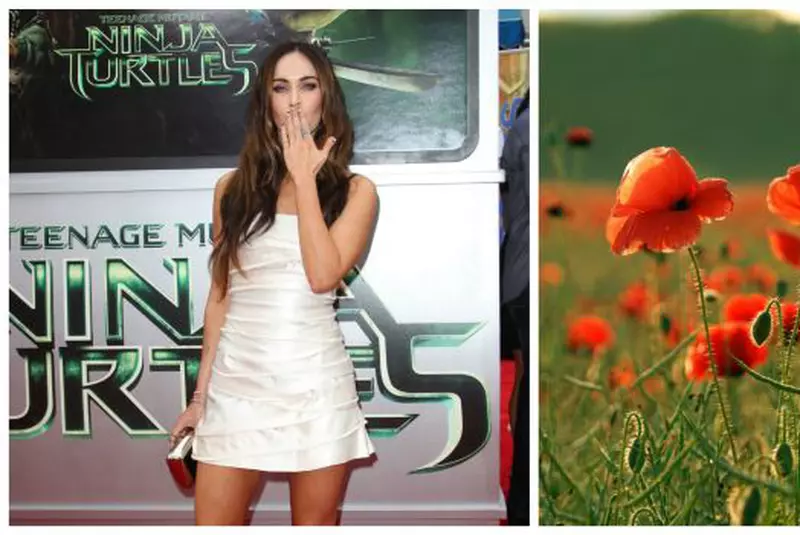 Berbec – Lady Gaga