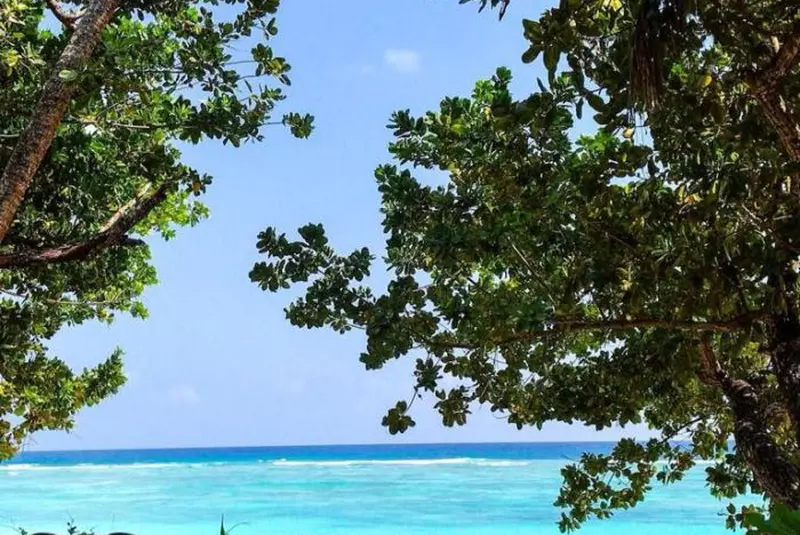 Adela Popescu – Mauritius