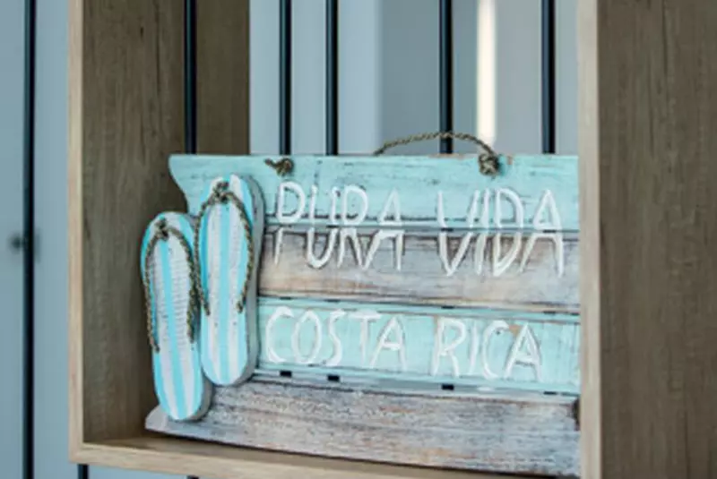 Casa artistului Randi