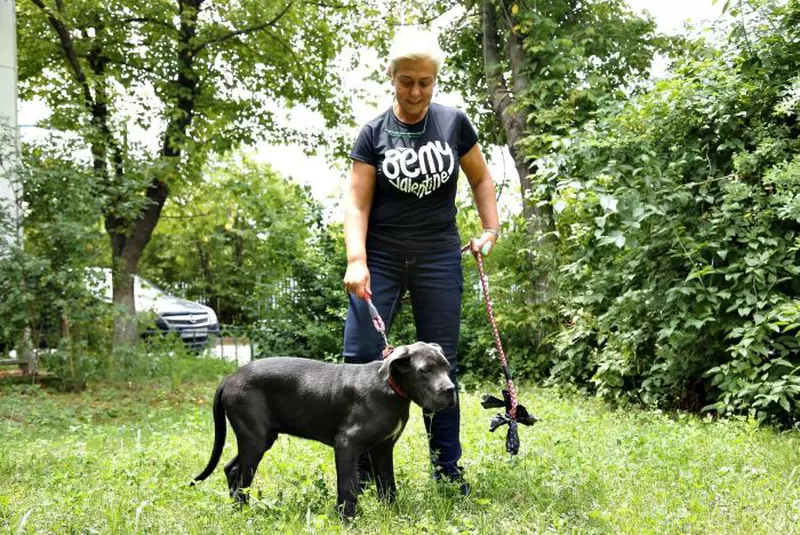 Monica Anghel și fratele ei vor participa la Te cunosc de undeva!