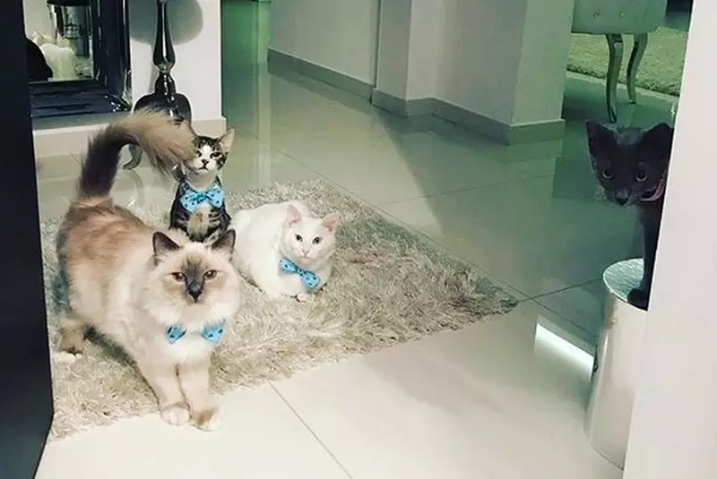 Oana Zăvoranu este o mare iubitoare de animale