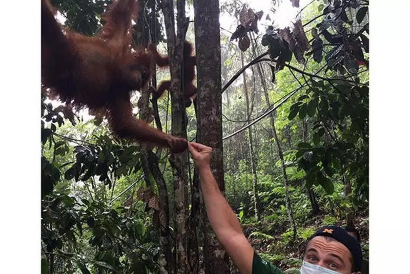 Leonardo DiCaprio se implică foarte des în acţiuni de salvare a mediului